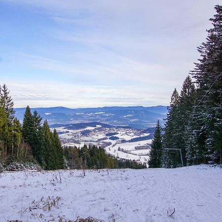 Charmante Ferienwohnung Mit Sauna Und Schwimmbad Im Zauberhaften Bayerischen Wald Sankt Englmar Exterior foto